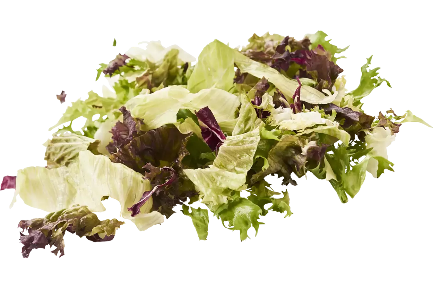 Horeca slamix zak 500gr stuk